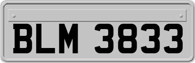 BLM3833