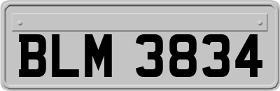 BLM3834