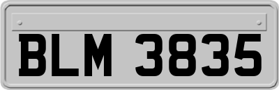 BLM3835