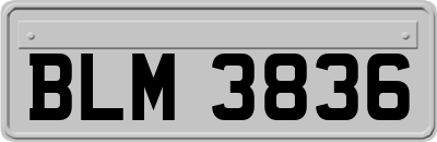 BLM3836