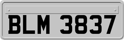 BLM3837