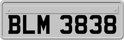 BLM3838