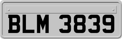 BLM3839