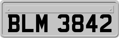 BLM3842