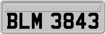BLM3843