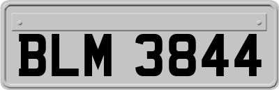 BLM3844