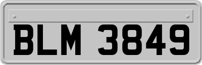 BLM3849
