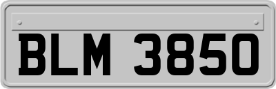 BLM3850