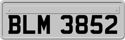 BLM3852