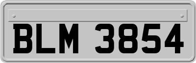 BLM3854