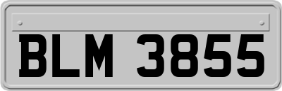 BLM3855