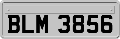 BLM3856