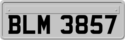 BLM3857