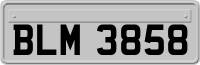 BLM3858
