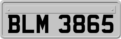 BLM3865