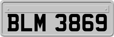 BLM3869