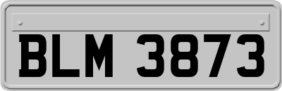 BLM3873