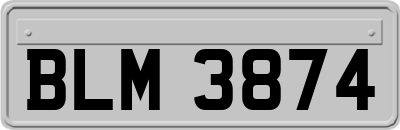 BLM3874