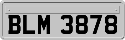 BLM3878