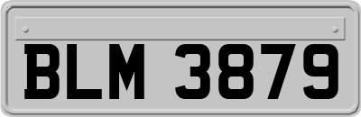 BLM3879
