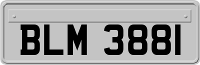 BLM3881