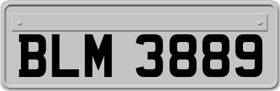 BLM3889