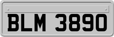 BLM3890
