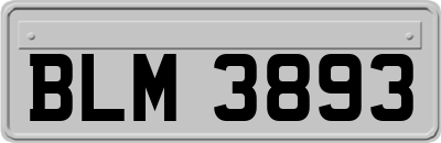 BLM3893