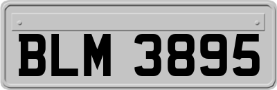 BLM3895