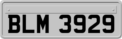 BLM3929