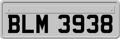 BLM3938