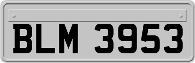BLM3953