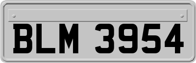 BLM3954