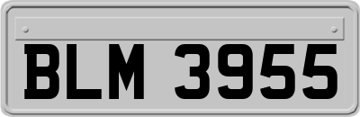 BLM3955