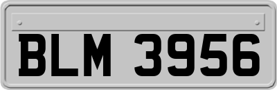 BLM3956