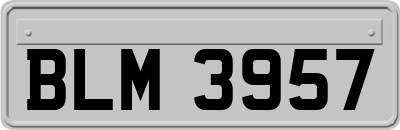 BLM3957