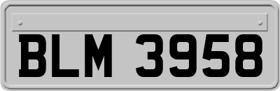 BLM3958