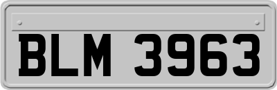 BLM3963