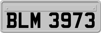 BLM3973