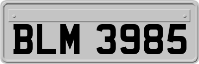 BLM3985