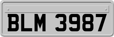 BLM3987