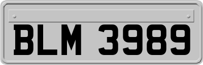 BLM3989