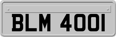BLM4001