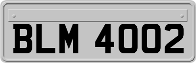 BLM4002
