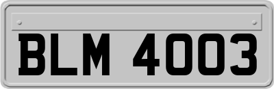 BLM4003