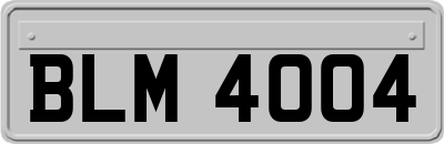 BLM4004
