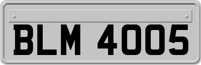 BLM4005