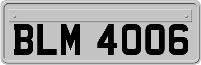 BLM4006