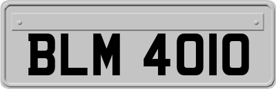 BLM4010
