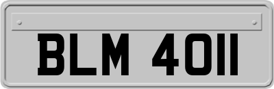 BLM4011